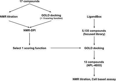 Discovery of Potent Disheveled/Dvl Inhibitors Using Virtual Screening Optimized With NMR-Based Docking Performance Index